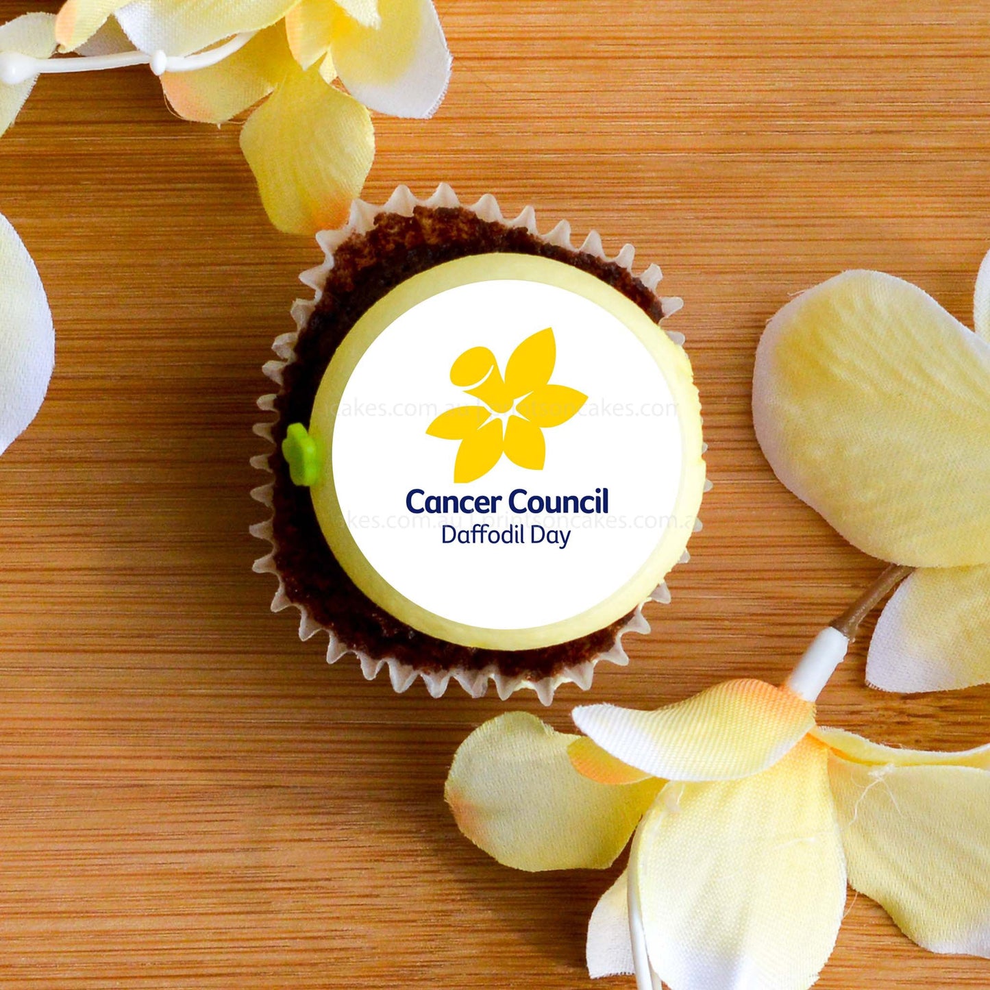 Cancer Council Daffodil Day - Edible Icing Images - Prints On Cakes - Edible Image service provider