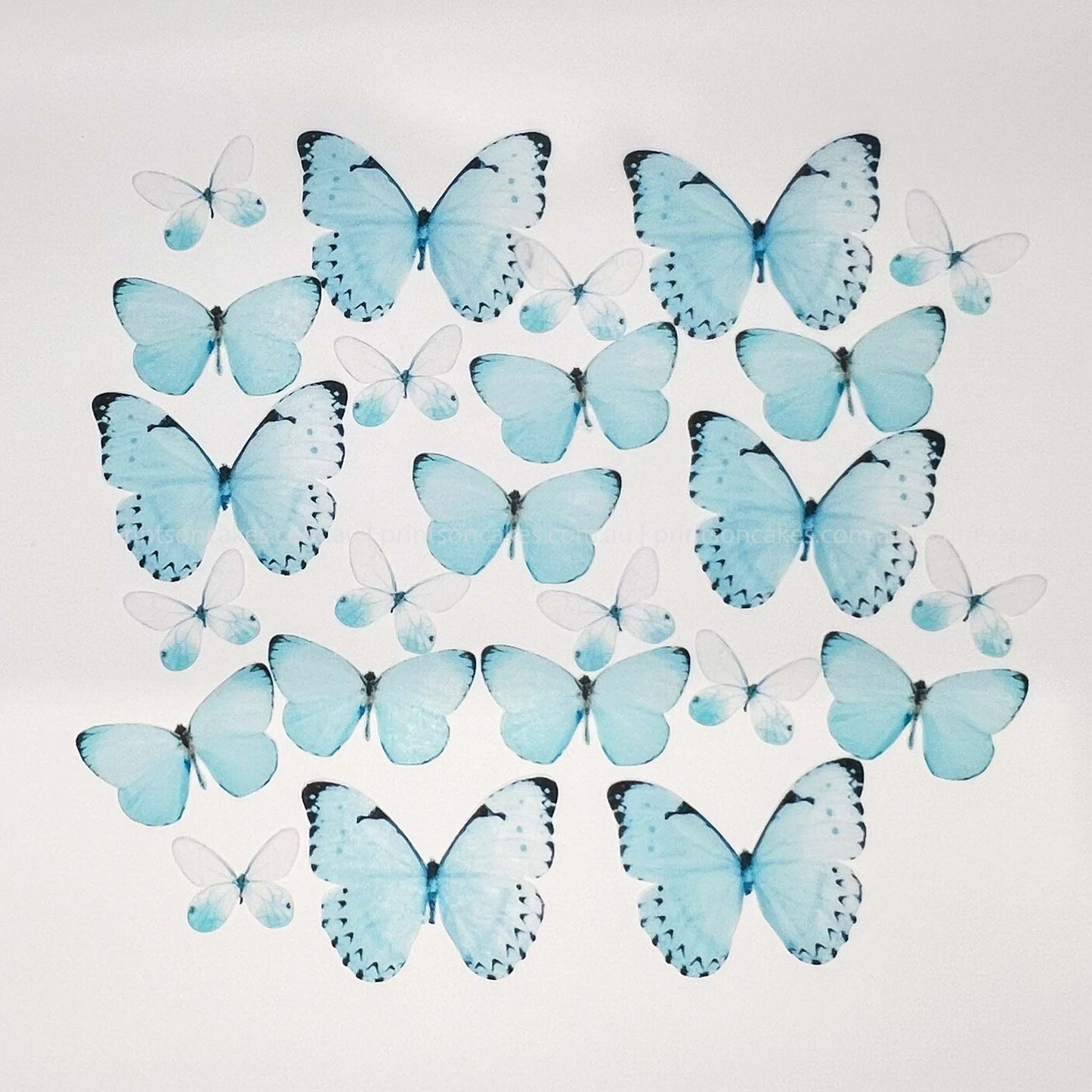 Light Blue Edible Wafer Butterflies - Mix sizes - 24pcs - Prints On Cakes - Edible Image service provider