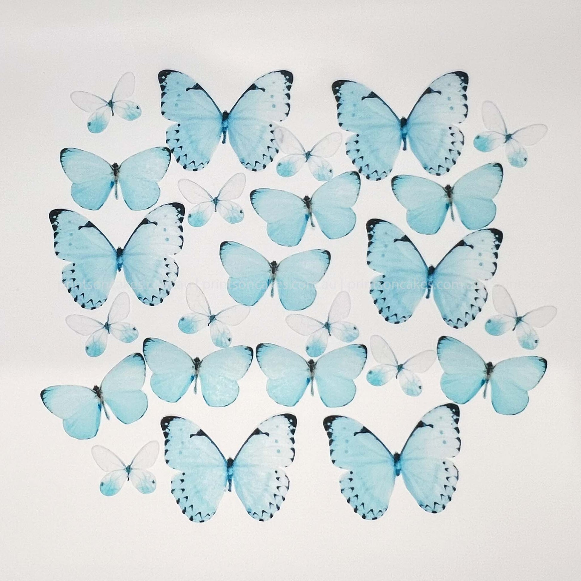 Light Blue Edible Wafer Butterflies - Mix sizes - 24pcs - Prints On Cakes - Edible Image service provider