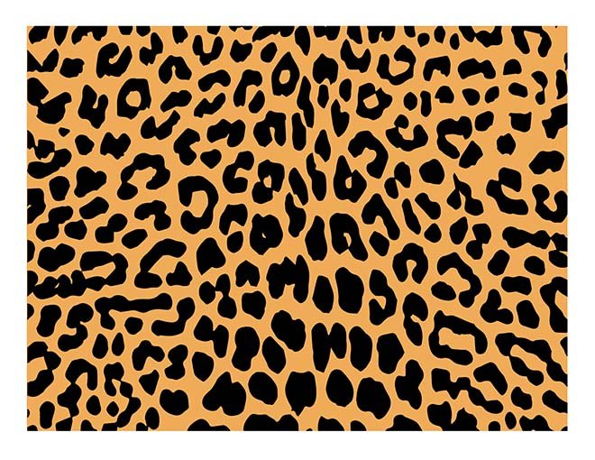 Personalised Leopard pattern - Icing Cake Wrap - printsoncakes - Edible Image service provider