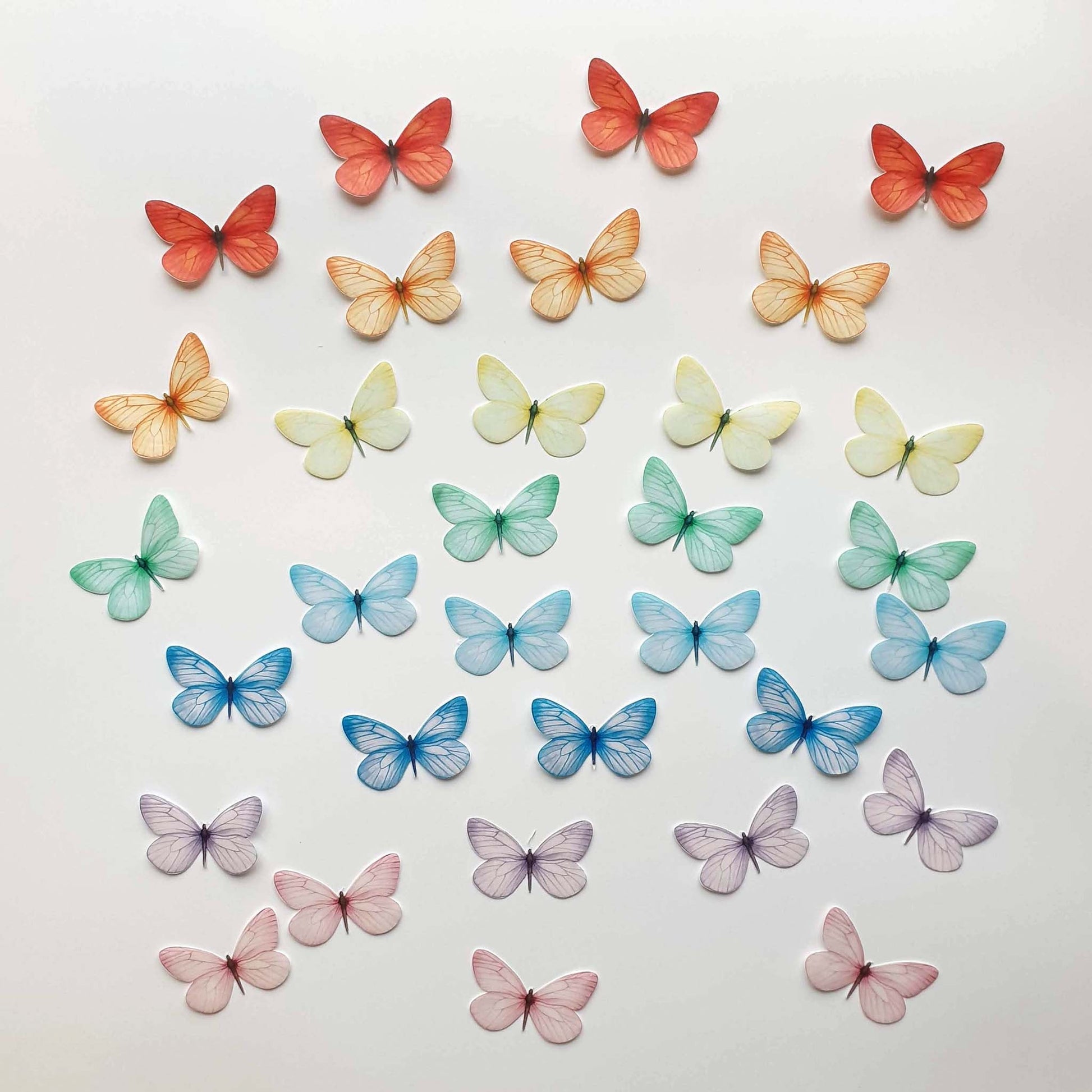 Rainbow Edible Wafer Butterflies - Medium - 32pcs - printsoncakes - Edible Image service provider