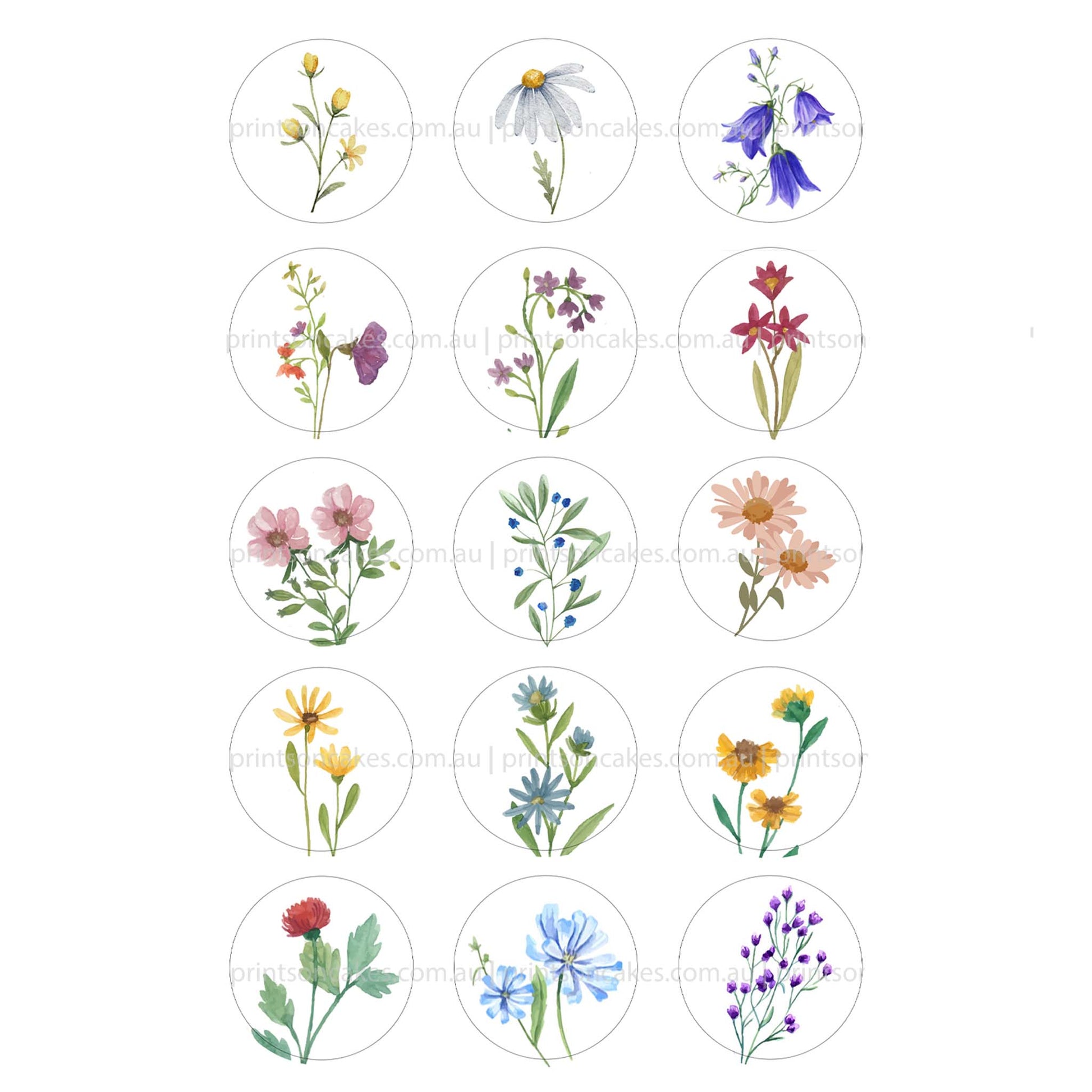 Wild Flowers – Pre Cut - Edible Icing Images - Prints On Cakes - Edible Image service provider