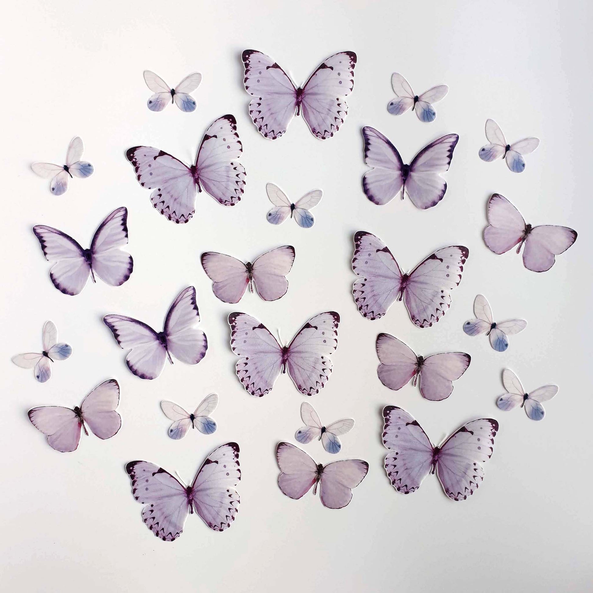 These wafer butterflies are simply magnificent and will make ordinary desserts extraordinary.  The pack contains 24 Light Purple colour wafer butterflies, precut and ready to use.    They come in 3 sizes;  10 small Butterflies: wingspan of approximately 3 cm (1.2')  8 Medium Butterflies: wingspan of approximately 5 cm (2')  6 Large Butterflies: wingspan of approximately 6 cm (2.4')